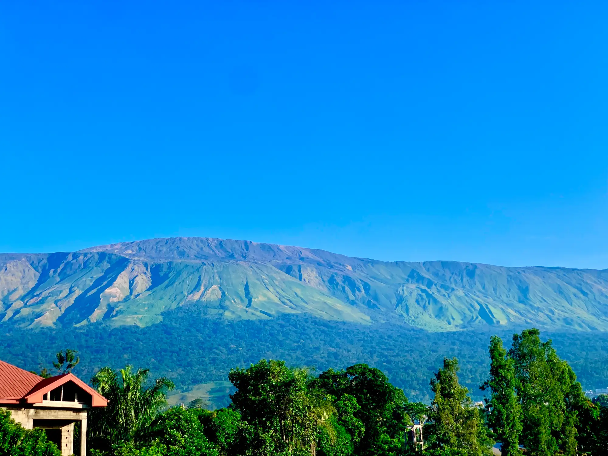 The long green ridge of Mount Cameroon under a clear blue sky, seen from Buea above forest and a red roof.